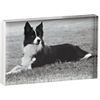 acrylic white rim frame. 6.25"Wx.75"Dx4"H (holds one 4"x6" photo).