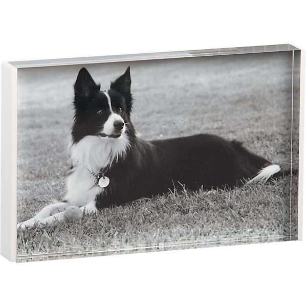 AcrylicRimFrameWhiteF12