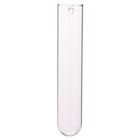 beaker glass tube wall vase