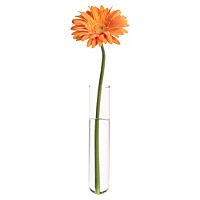 beaker glass tube wall vase