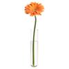 beaker glass tube wall vase