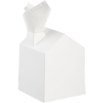 casa tissue house