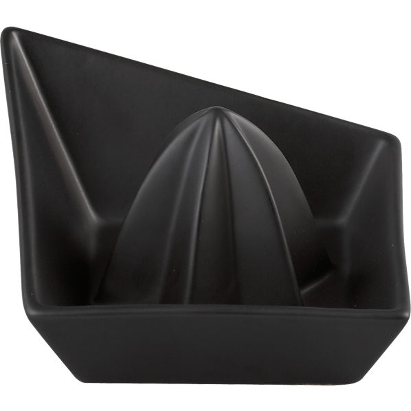 CitrusJuicerMatteBlackS13