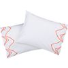 set of two standard crazy talk shams. 20"Wx26"L