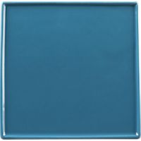 crewcut square peacock appetizer plate