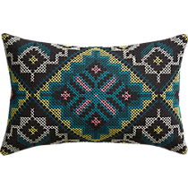 cross examination 18"x12" pillow