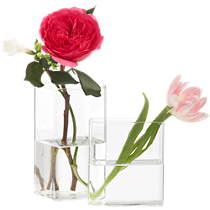 cuboid vases