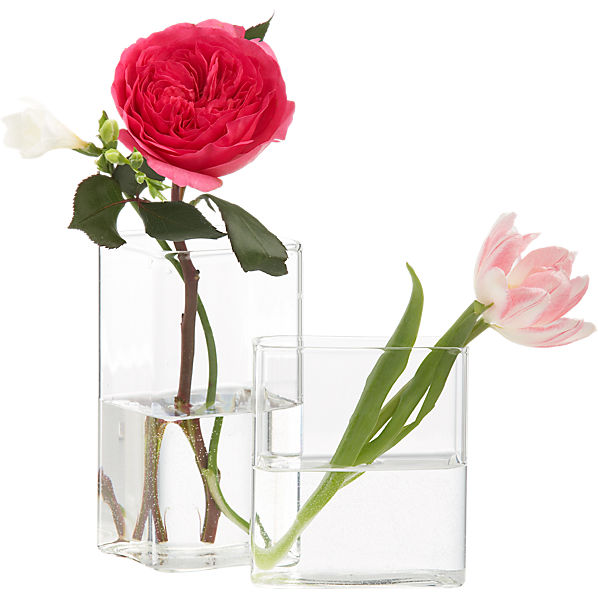 CuboidGlassVasesS13