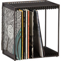 display modular vinyl storage