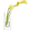 double walled vase