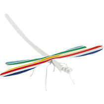 dragonfly with wings