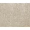 drake natural shag rug