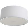 eden white pendant lamp. overall: 19.75"dia.x8"Hcord: 180"