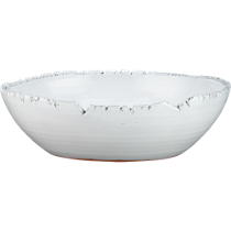 fault serve bowl