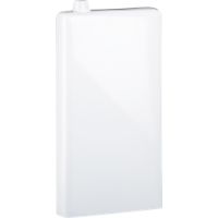 flask white vase