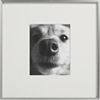 frame. 18.5" sq. (holds one 8"x10" photo).