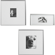 gallery frames