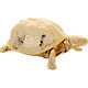 gold turtle
