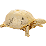 gold turtle