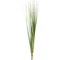 grass bunch