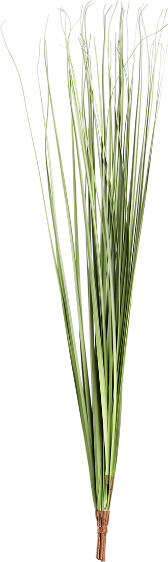 botanicals