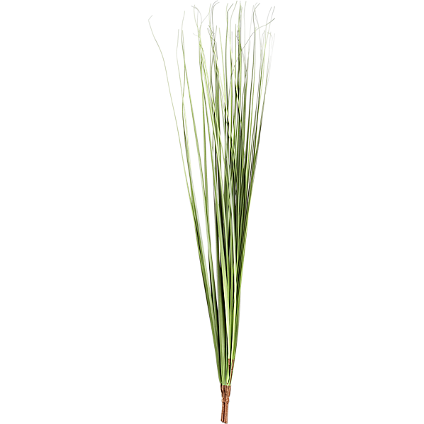 GrassBunchS10