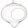 hanging glass terrarium. 5.5"dia.x5.5"H