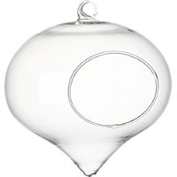 hanging glass terrarium