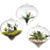 HangingGlassTerrariumS12
