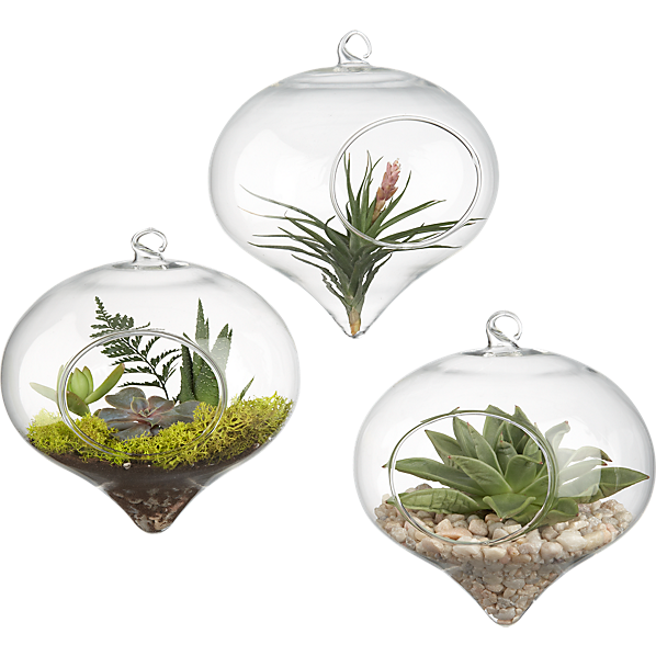 HangingGlassTerrariumS12