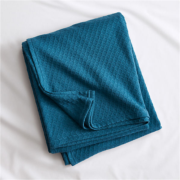 hive bluegreen blanket CB2