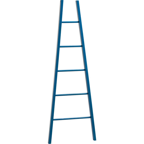 LadderBlueF12
