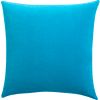 leisure blue pillow.