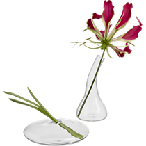 mini bud vases