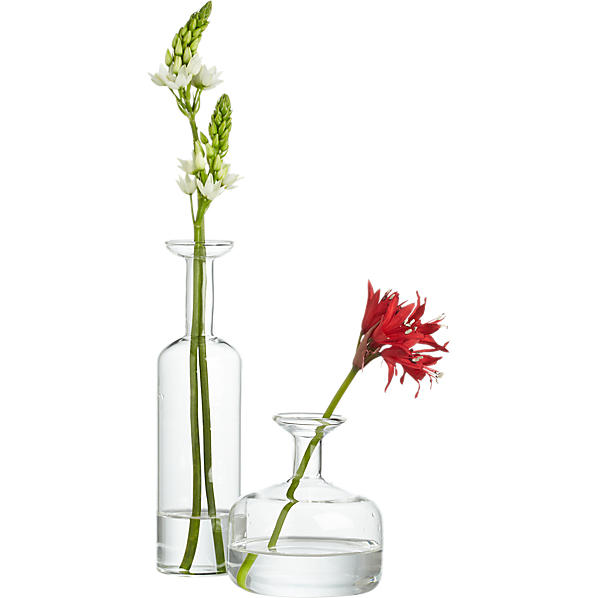 beaker glass tube 8" wall vase CB2