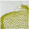 net dinner plate