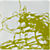 NetSaladPlateS13