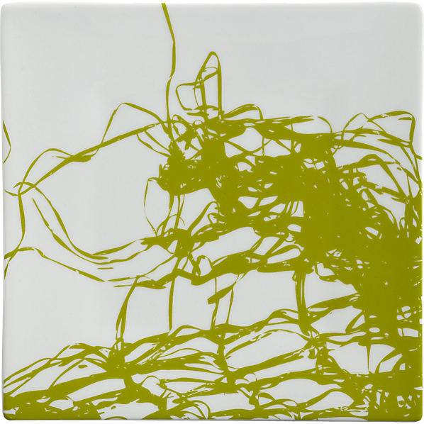 NetSaladPlateS13