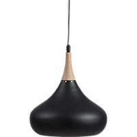 noir pendant lamp