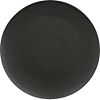 nova dinner plate. 11" dia.