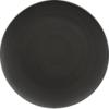 nova dinner plate