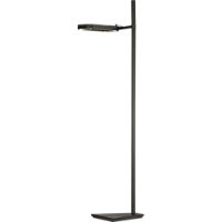 oiseau floor lamp
