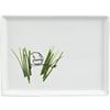 oliver chive appetizer plate. 6.5"Wx5"Dx.5"H