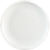 OrbitDinnerPlate10inS13