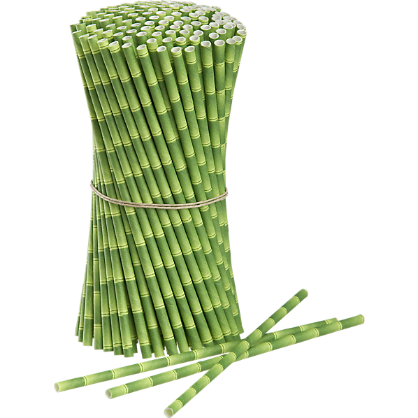 PaperStrawsBambooAV2S13