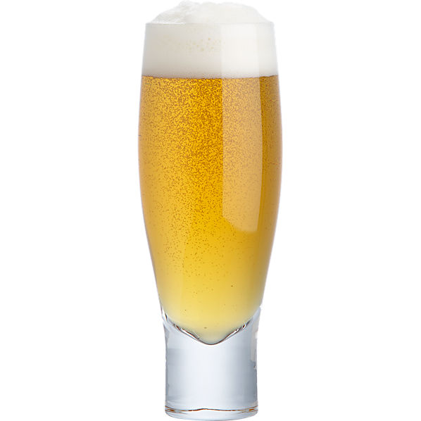 SaludBeerGlass12ozAVF12