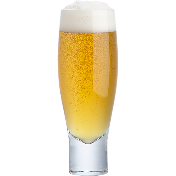 SaludBeerGlass12ozAVF12