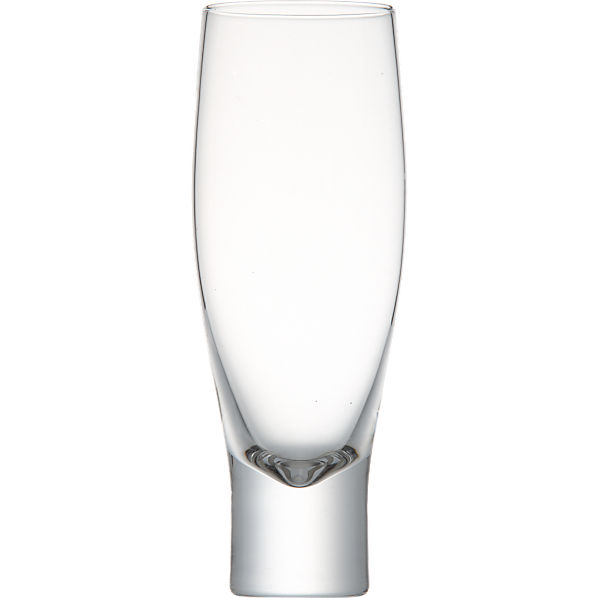 SaludBeerGlass12ozLLF12