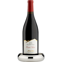 stainless steel shiny wine coaster