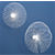 SpindleWallDecoLgSmWht3QS13